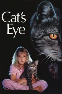 El ojo del gato